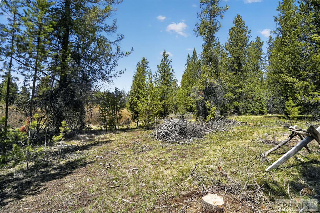 4047 Kickapoo Circle Property Photo 7