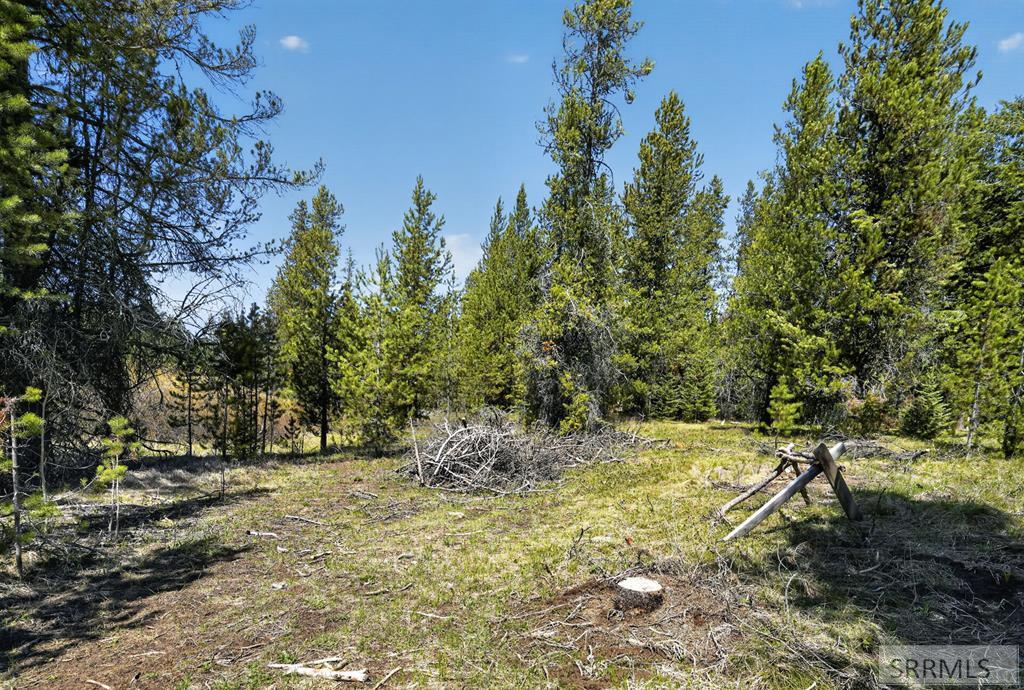 4047 Kickapoo Circle Property Photo 8