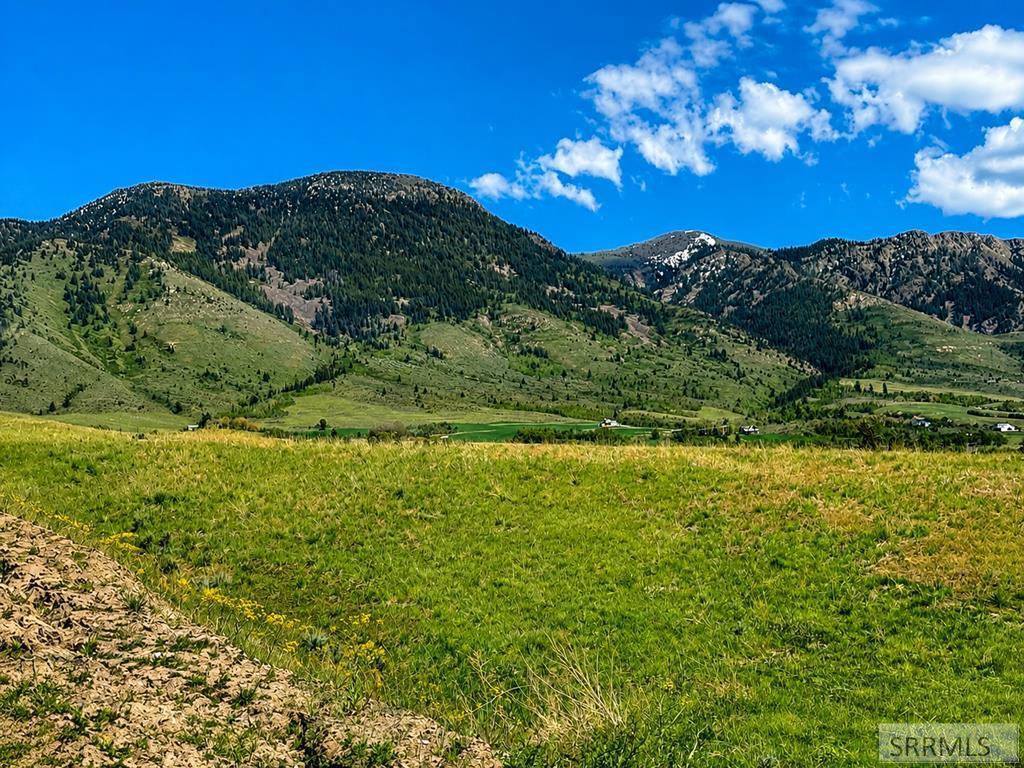 775 Grey Fox Loop
