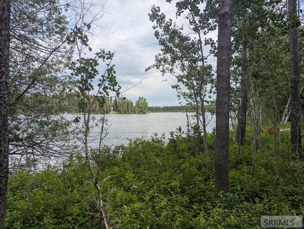3649 Redtail Street Property Photo 5