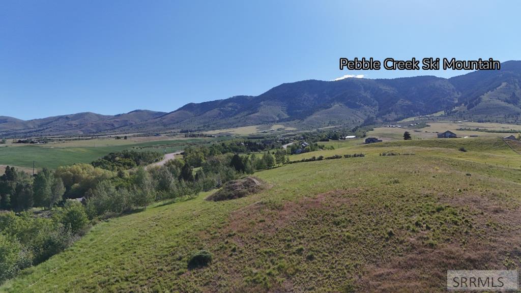 1398 Mogul Lane Property Photo 3