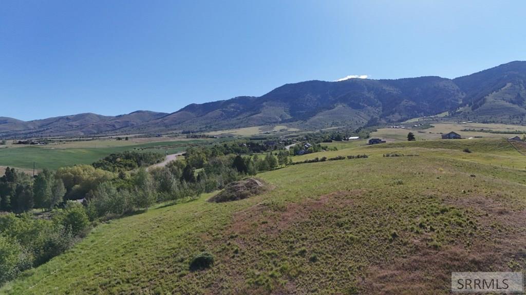 1398 Mogul Lane Property Photo 4