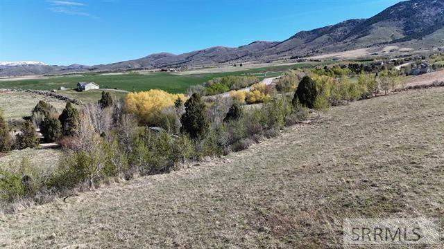 1398 Mogul Lane Property Photo 13