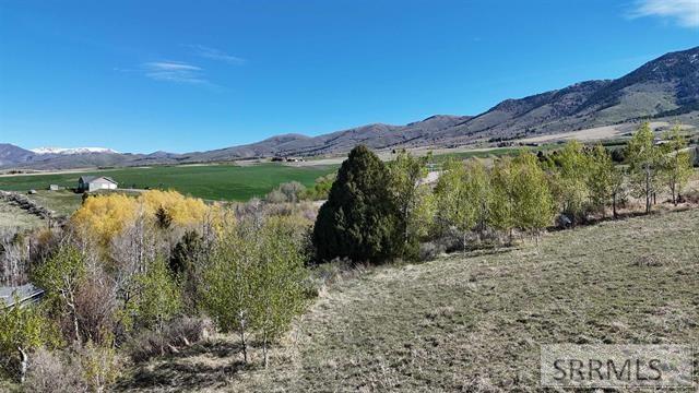 1398 Mogul Lane Property Photo 20