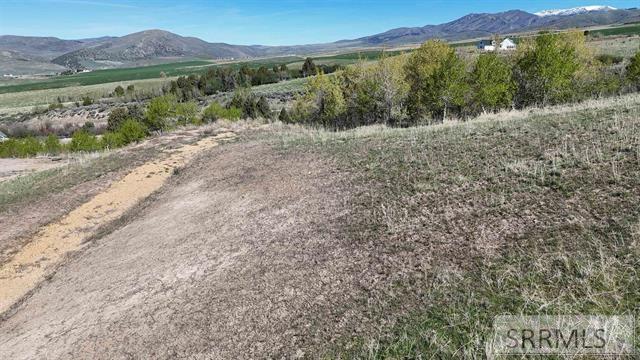 1398 Mogul Lane Property Photo 31