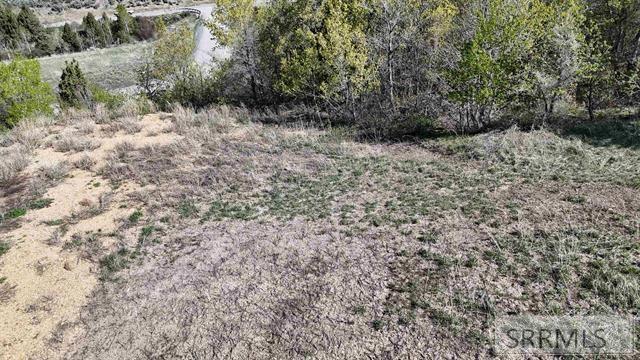 1398 Mogul Lane Property Photo 32