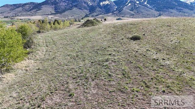 1398 Mogul Lane Property Photo 33