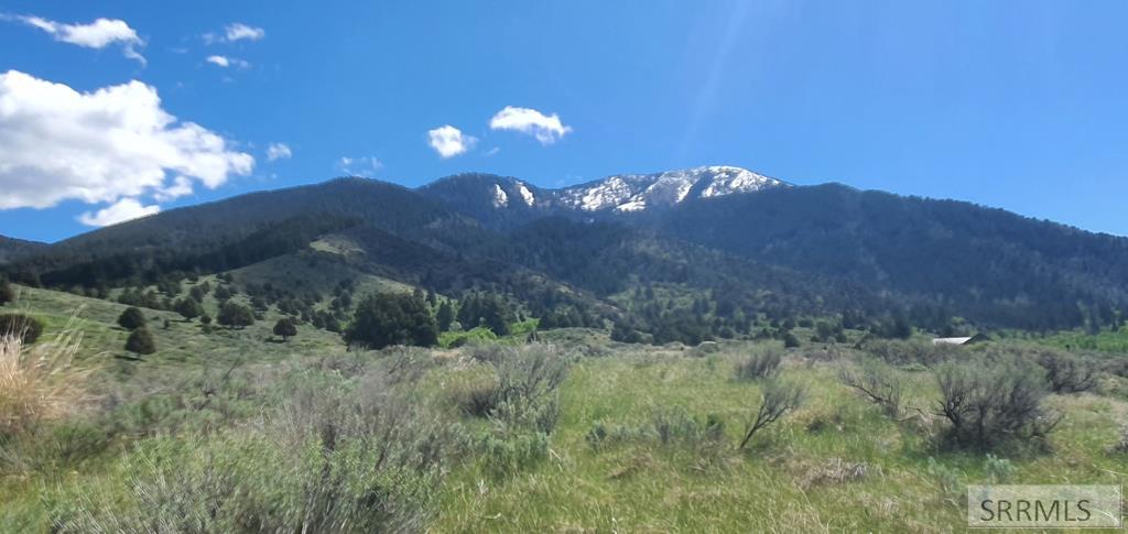 151 Elk Path Property Photo 1