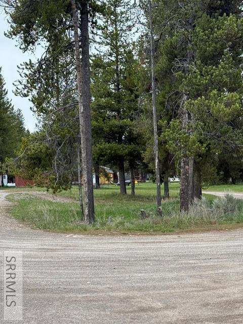 3767 Lodgepole Lane Property Photo 7