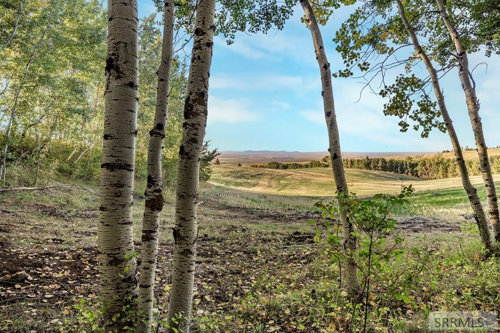 Tbd Rig Ranch Road Property Photo 21