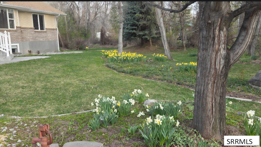 486 N 4154 E Property Photo 70