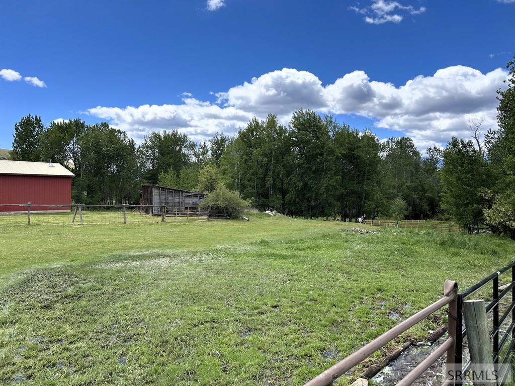 504 Carmen Creek Road Property Photo 7