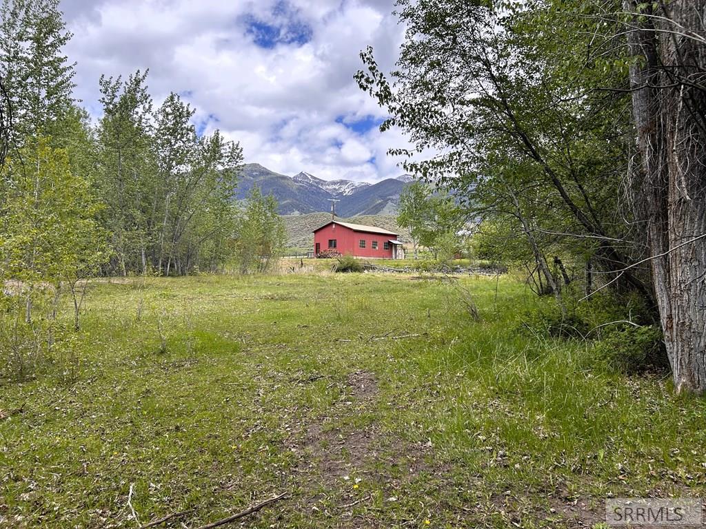 504 Carmen Creek Road Property Photo 41