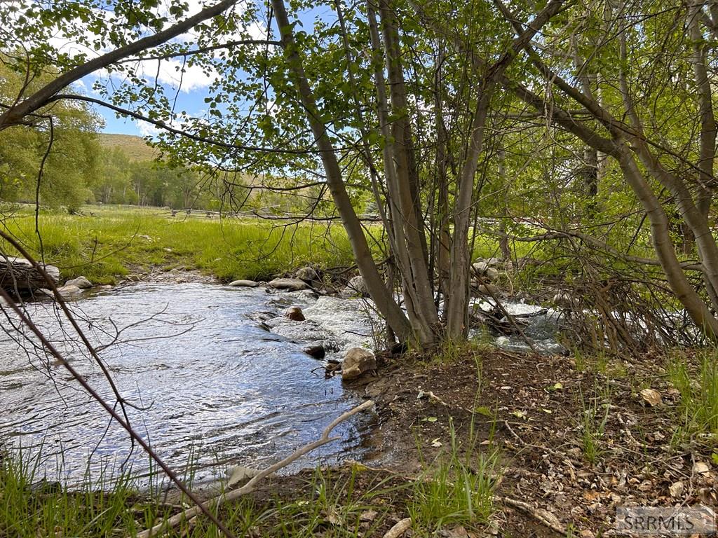 504 Carmen Creek Road Property Photo 43