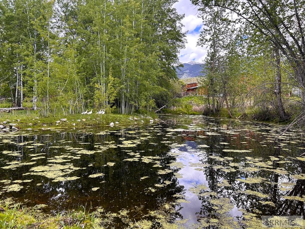 504 Carmen Creek Road Property Photo 44