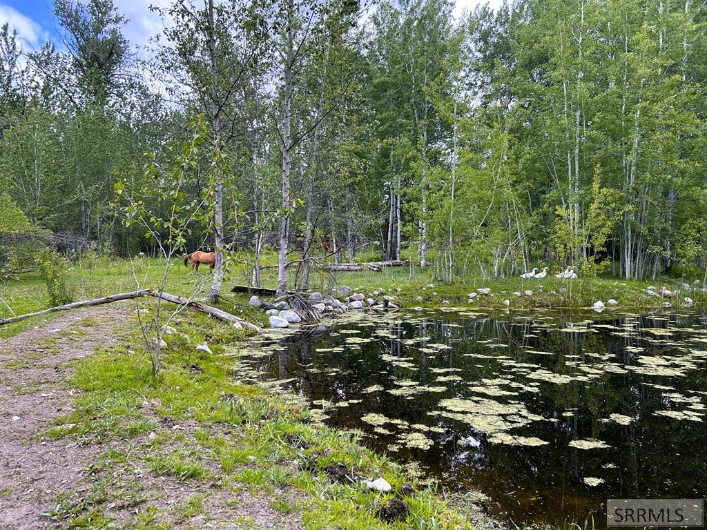 504 Carmen Creek Road Property Photo 45
