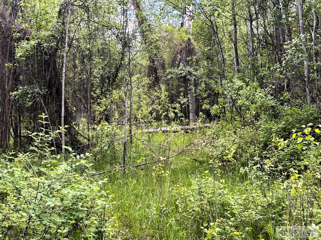 504 Carmen Creek Road Property Photo 47