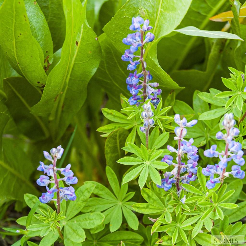 2819 Ne Sagehen Dr Property Photo 17