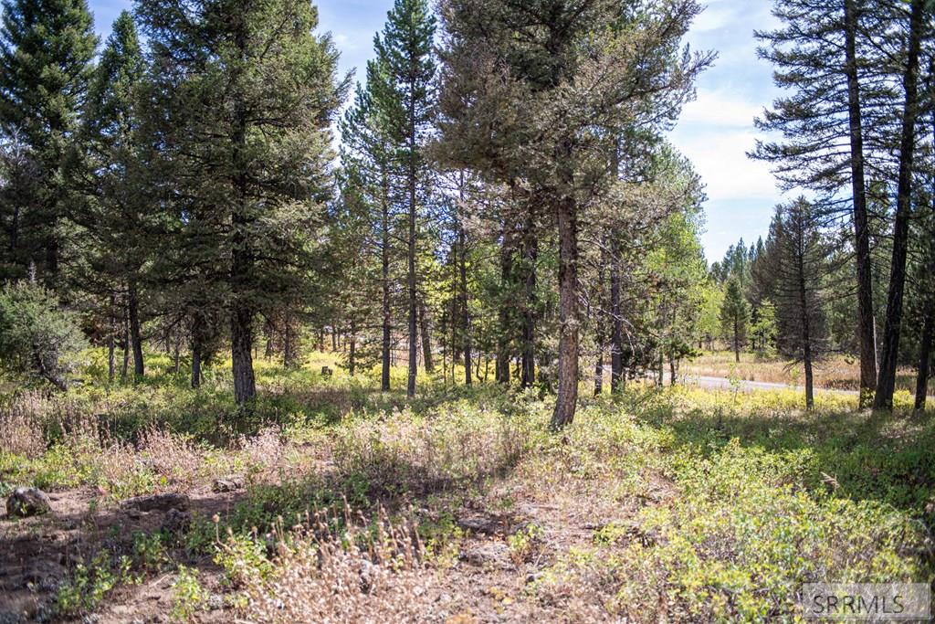2819 Ne Sagehen Dr Property Photo 26