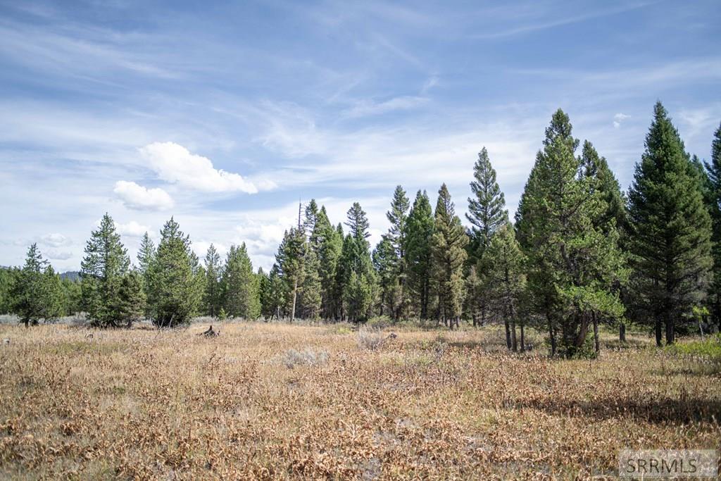 2819 Ne Sagehen Dr Property Photo 28