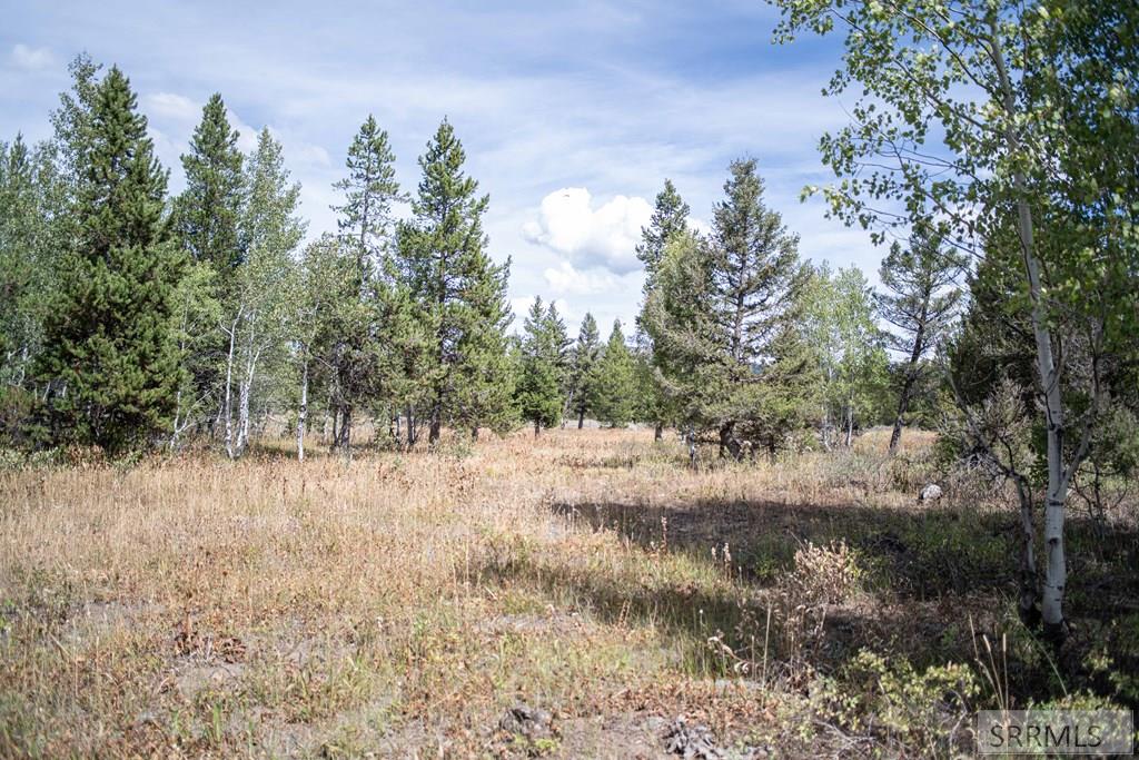 2819 Ne Sagehen Dr Property Photo 29