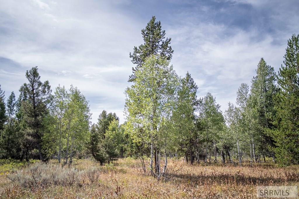 2819 Ne Sagehen Dr Property Photo 33