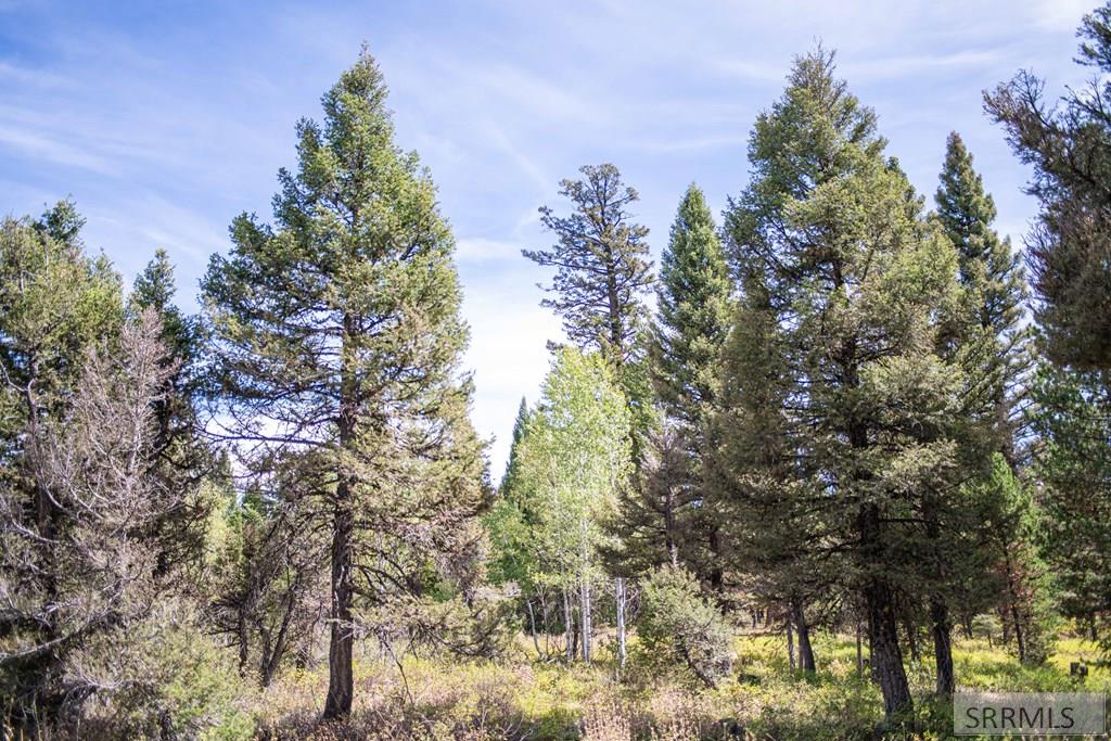 2819 Ne Sagehen Dr Property Photo 40