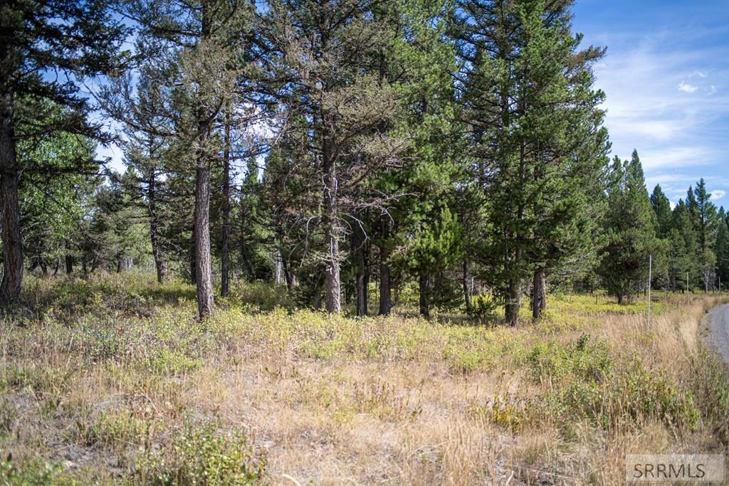 2819 Ne Sagehen Dr Property Photo 41