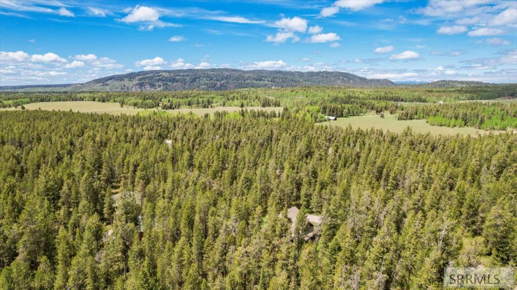1536 Shadow Run Property Photo 8