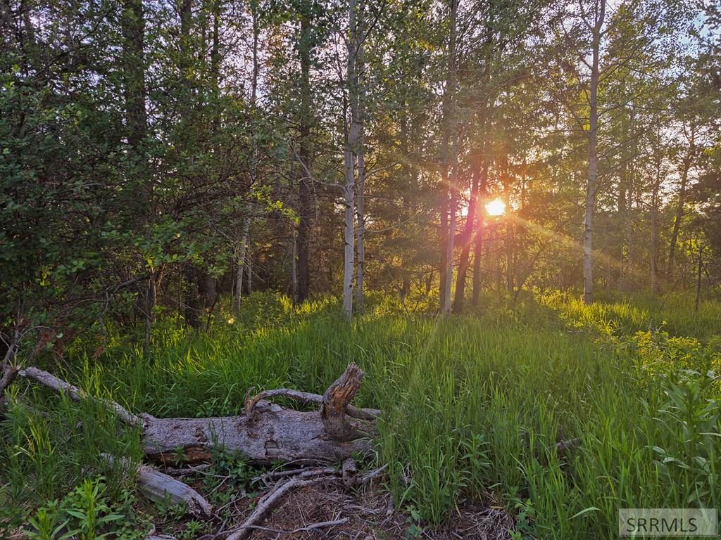 4383 Granite Ridge North Property Photo 33