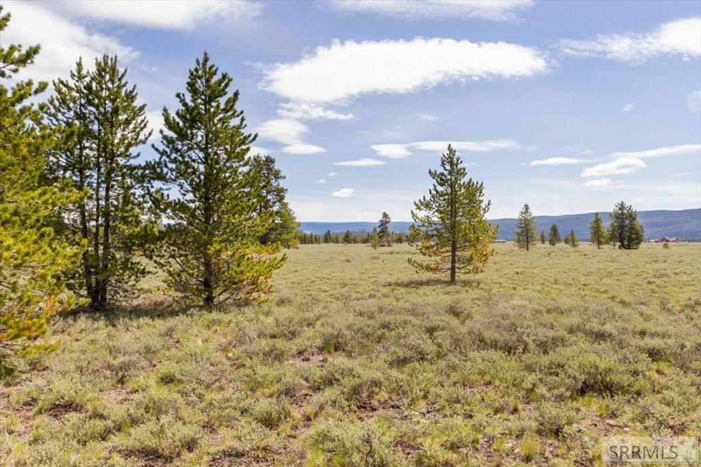 Tbd Yellowstone Basin Property Photo 10