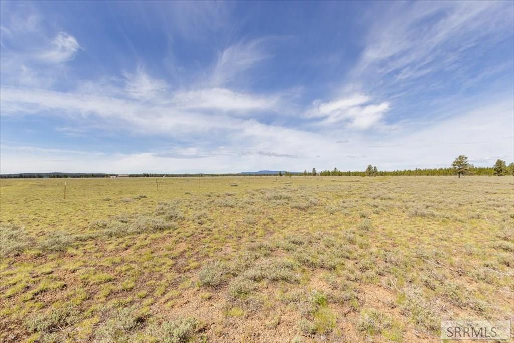 Tbd Yellowstone Basin Property Photo 14