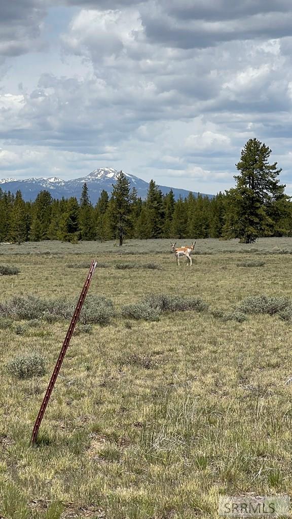 Tbd Yellowstone Basin Property Photo 24