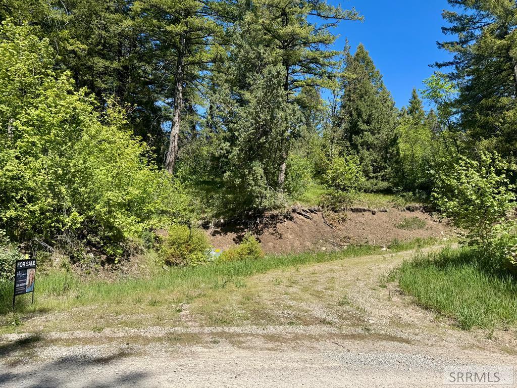 Tbd Pine Drive Property Photo 9