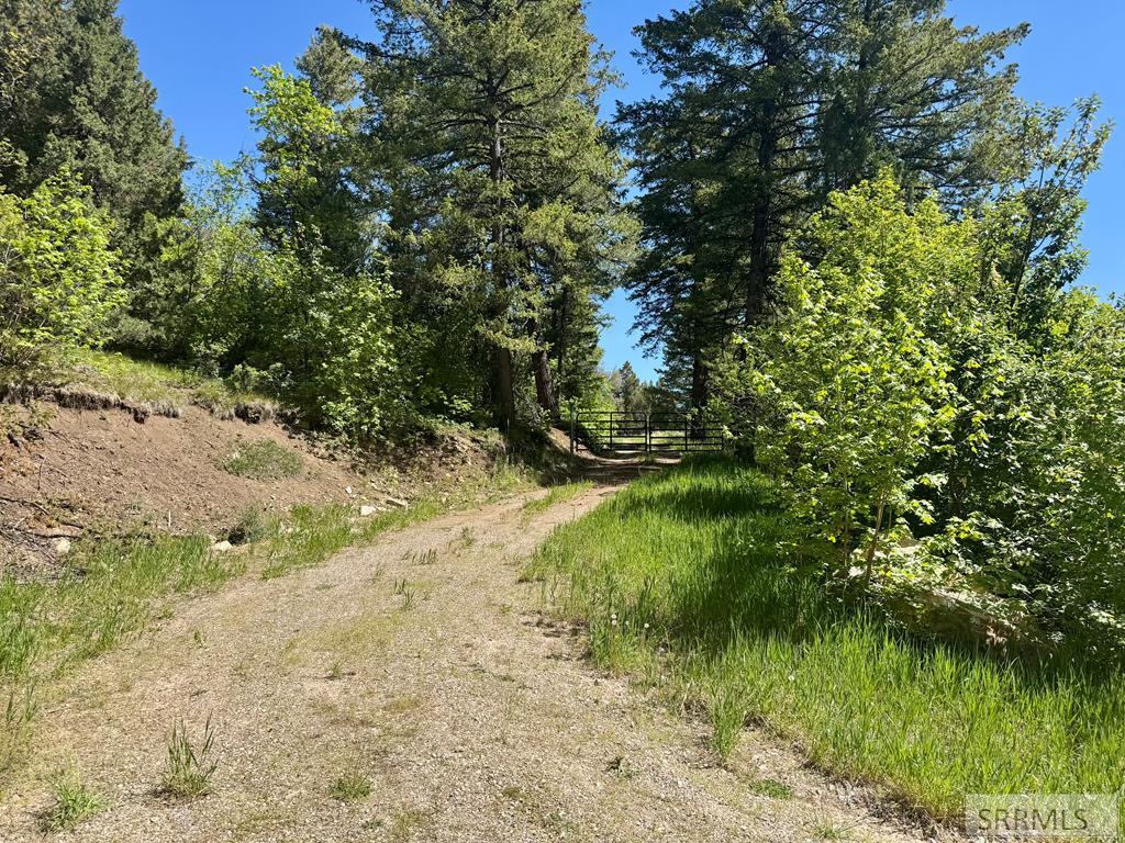 Tbd Pine Drive Property Photo 10