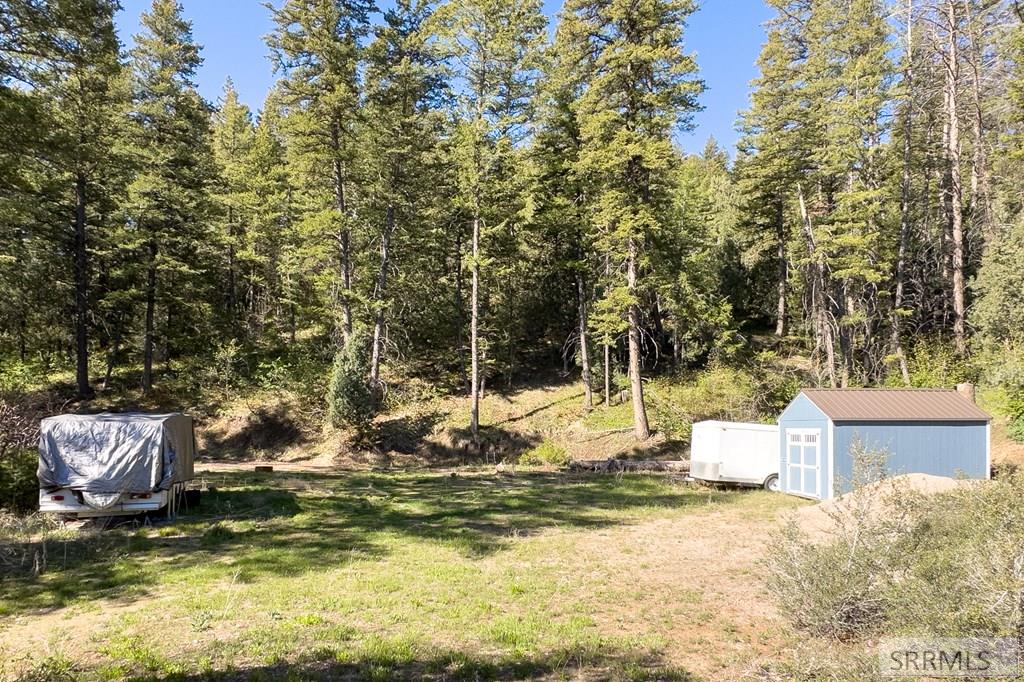 Tbd Pine Drive Property Photo 11