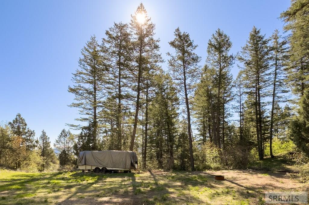Tbd Pine Drive Property Photo 14