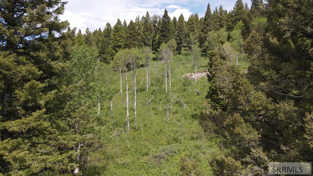 4907 Shadow Wood Property Photo 1