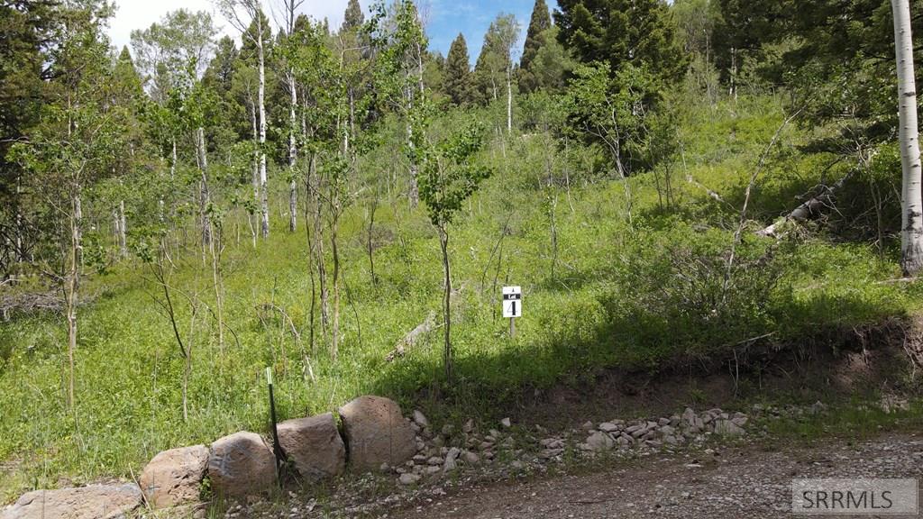 4907 Shadow Wood Property Photo 10