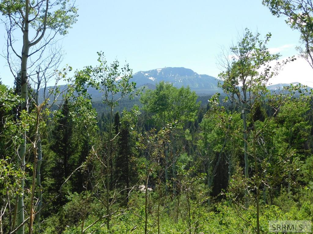 4907 Shadow Wood Property Photo 11