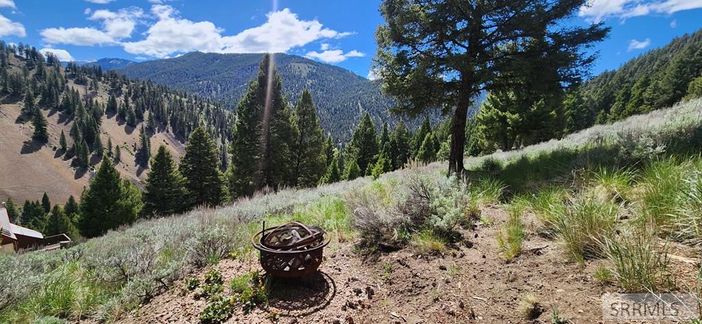 14 Elk Summit Way Property Photo 5