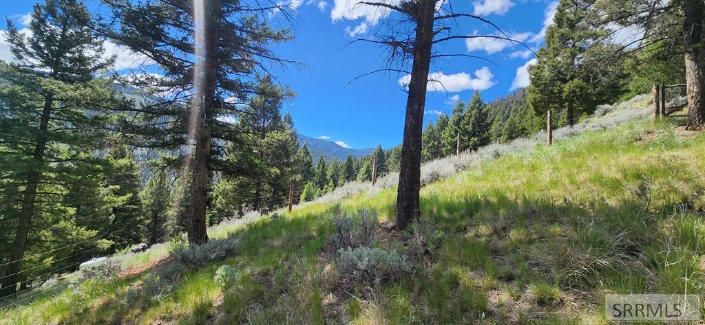 14 Elk Summit Way Property Photo 7