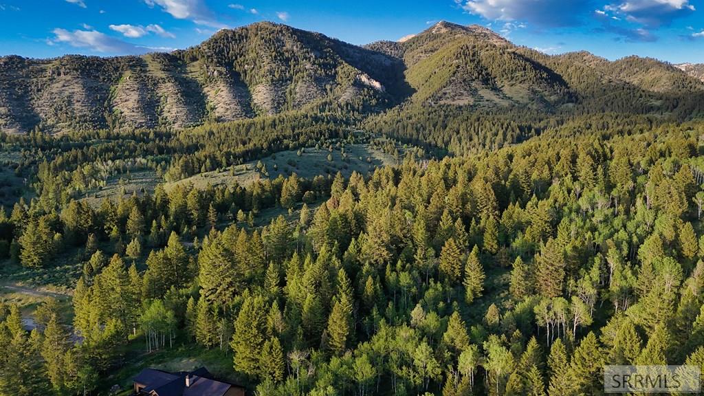 Tbd Caribou Circle Property Photo 15
