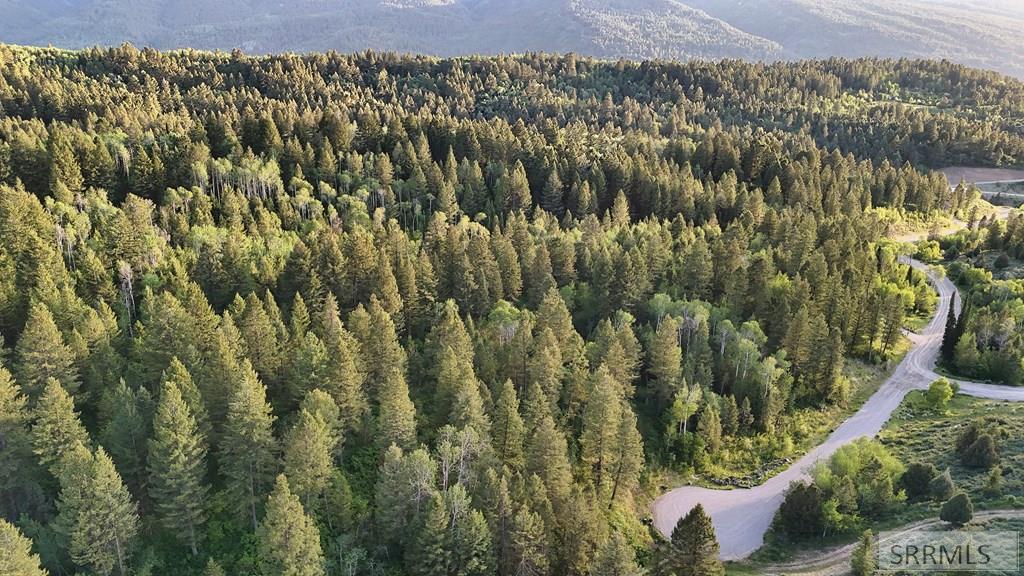 Tbd Caribou Circle Property Photo 18