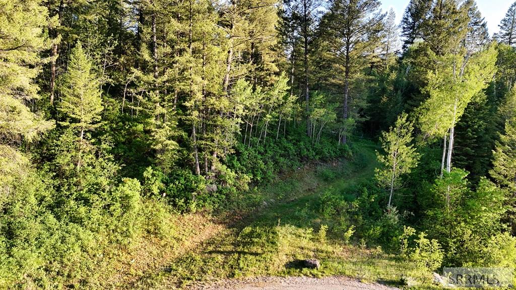 Tbd Caribou Circle Property Photo 19