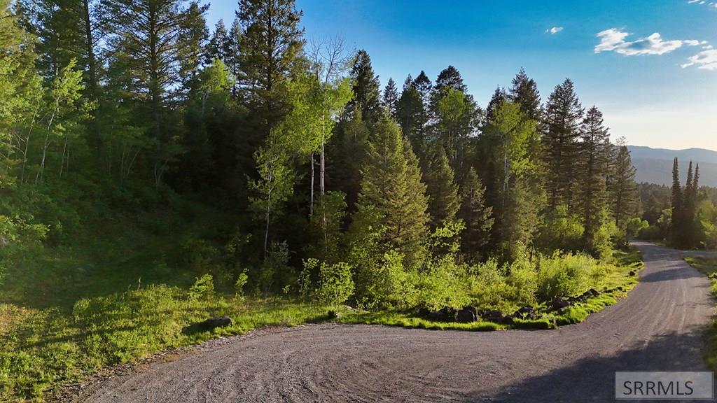 Tbd Caribou Circle Property Photo 20
