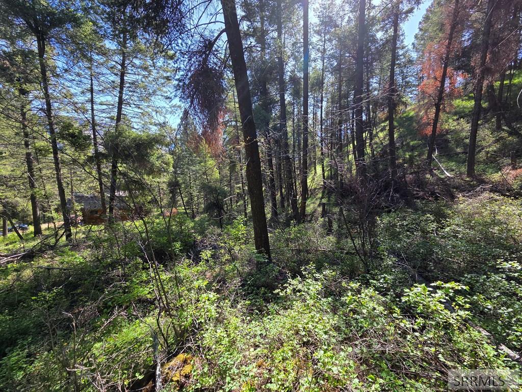 21 Pinetree Drive Property Photo 23