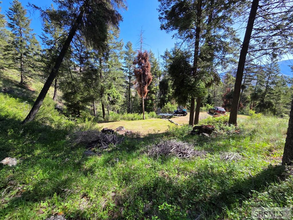21 Pinetree Drive Property Photo 38