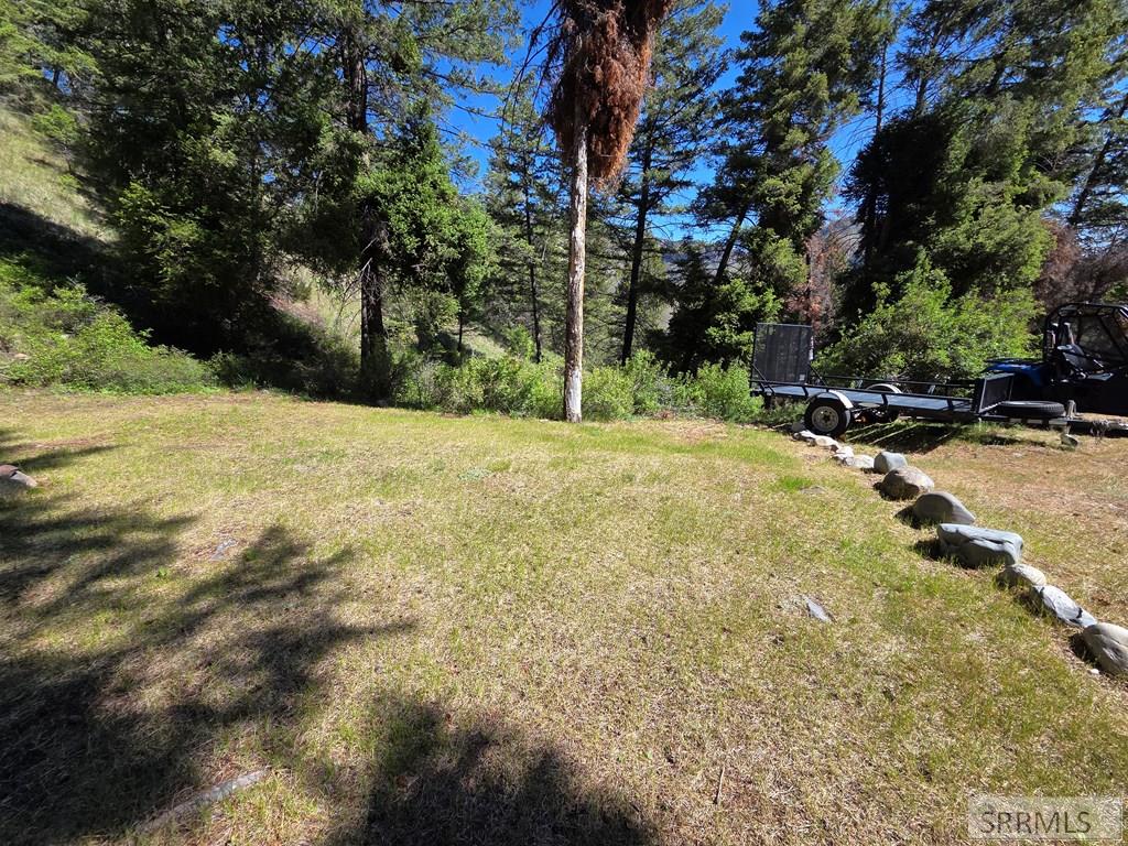 21 Pinetree Drive Property Photo 41