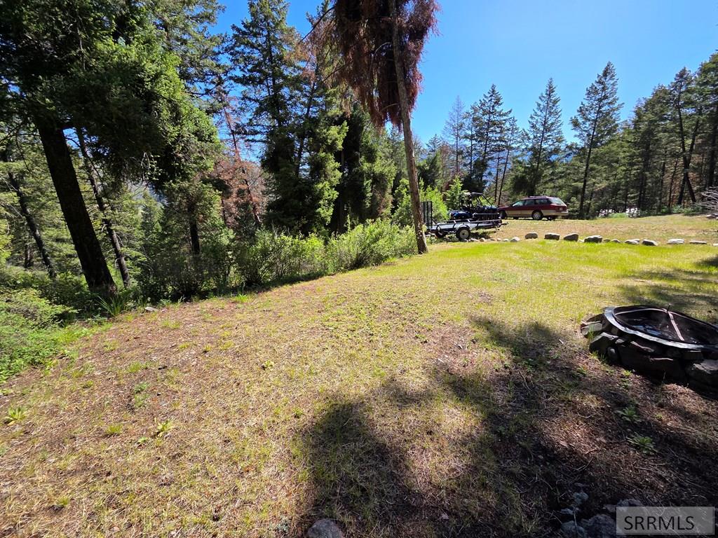 21 Pinetree Drive Property Photo 43
